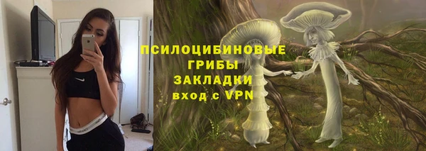 прущие грибы Богданович