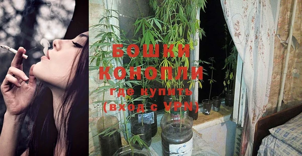 ГАЛЛЮЦИНОГЕННЫЕ ГРИБЫ Богородицк