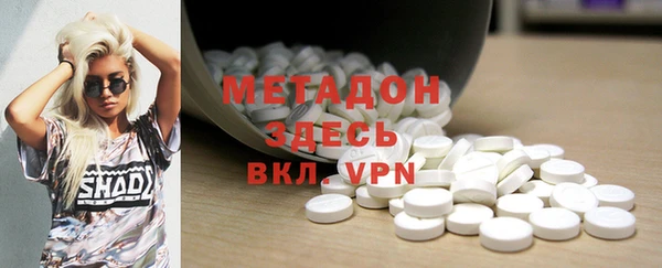 прущие грибы Богданович