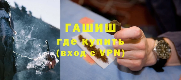 прущие грибы Богданович
