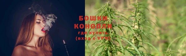 ГАЛЛЮЦИНОГЕННЫЕ ГРИБЫ Богородицк