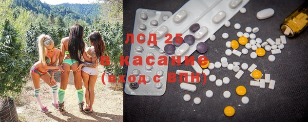 ГАЛЛЮЦИНОГЕННЫЕ ГРИБЫ Богородицк