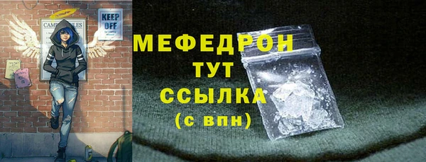 прущие грибы Богданович