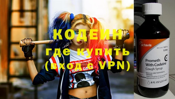 прущие грибы Богданович