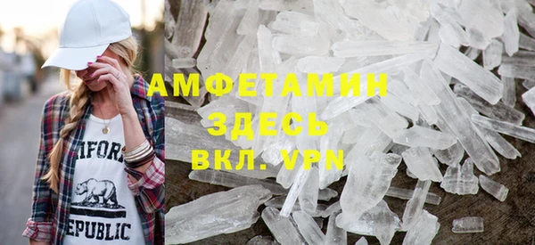 прущие грибы Богданович