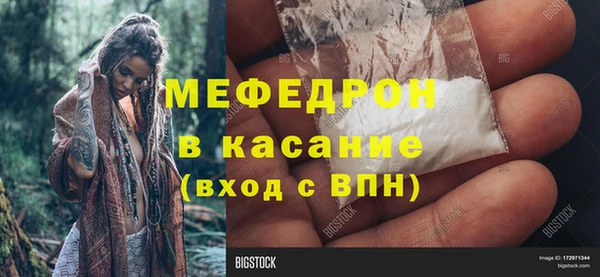 прущие грибы Богданович