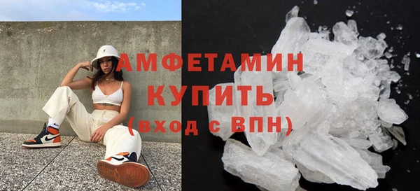 прущие грибы Богданович