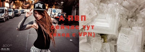 прущие грибы Богданович